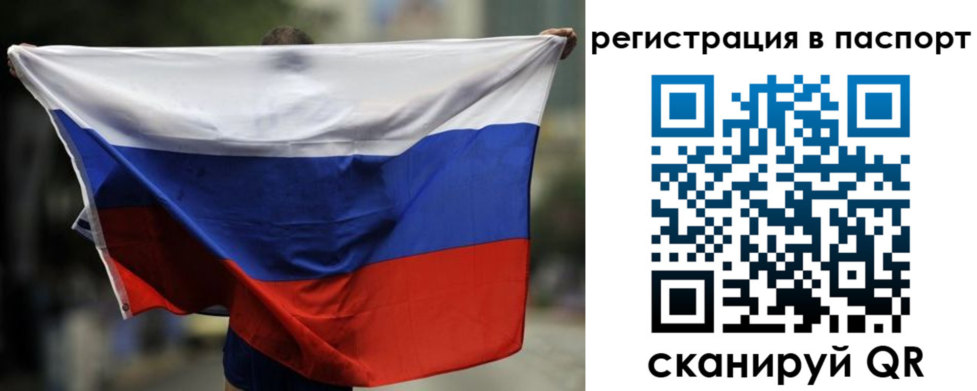 прописка 2025 в Звенигово
